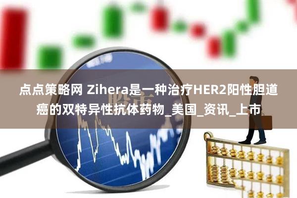 点点策略网 Zihera是一种治疗HER2阳性胆道癌的双特异性抗体药物_美国_资讯_上市