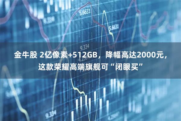 金牛股 2亿像素+512GB，降幅高达2000元，这款荣耀高端旗舰可“闭眼买”