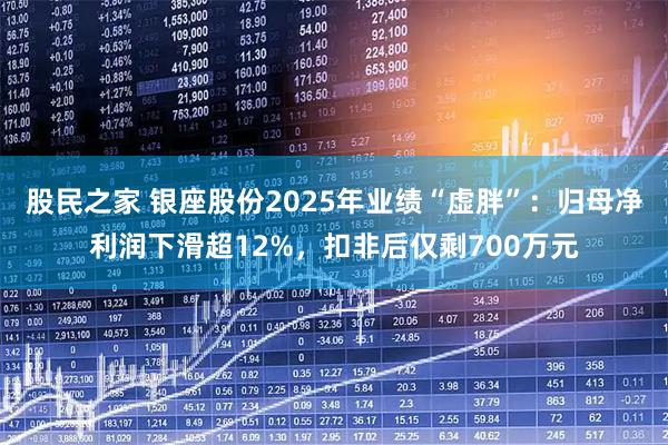 股民之家 银座股份2025年业绩“虚胖”：归母净利润下滑超12%，扣非后仅剩700万元