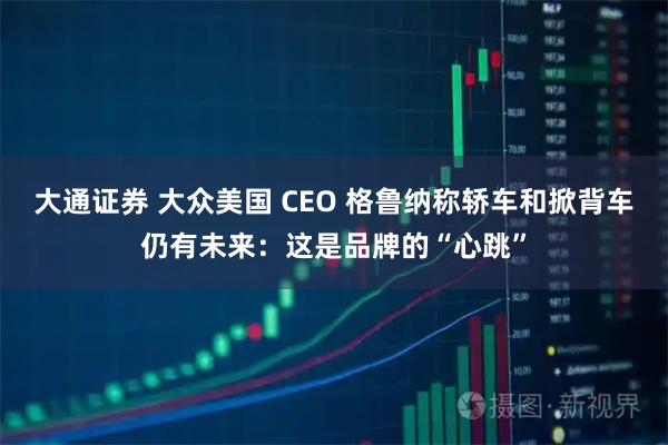 大通证券 大众美国 CEO 格鲁纳称轿车和掀背车仍有未来：这是品牌的“心跳”
